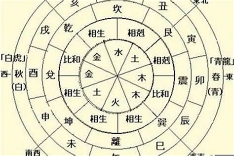 属木的工作|八字五行属木是什么意思 八字五行属木行业